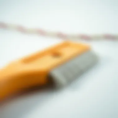 Innovative Texture for Enhanced Pet Hair Removal Close-up of a rubber squeegee with a textured surface designed for pet hair