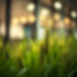 Exploring Artificial Wheat Grass Stems: Applications and Insights Introduction