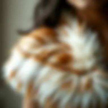 Intricate Detailing on Fur Cape Close-up of intricate detailing on a fur cape