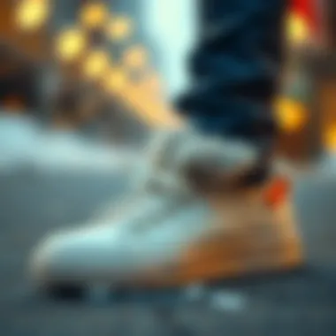 Illustration of care practices for maintaining fur lined tennis shoes