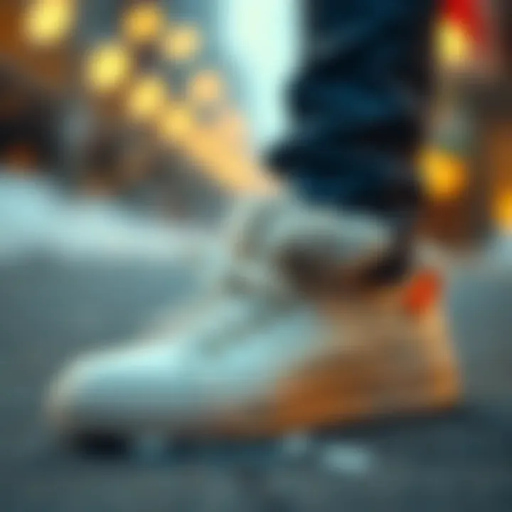 Illustration of care practices for maintaining fur lined tennis shoes