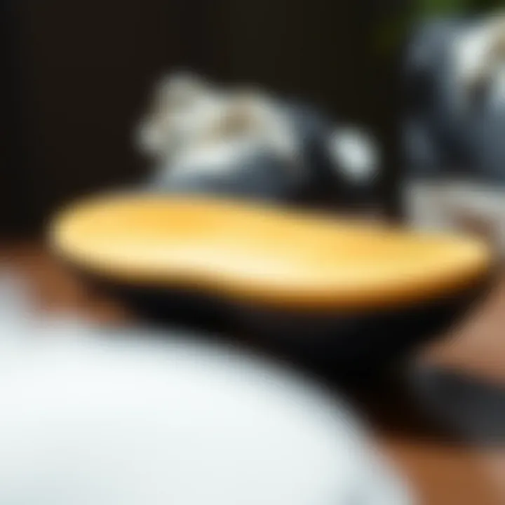 A cushioned insole placed inside a sneaker to enhance comfort.