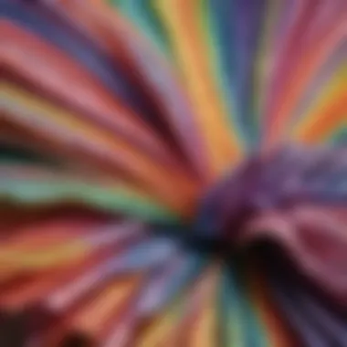 Close-up of the intricate fabric patterns and colors in a rainbow tutu