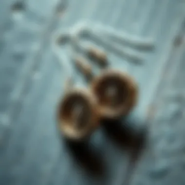 Aesthetic arrangement of titanium spiral earrings on a textured background