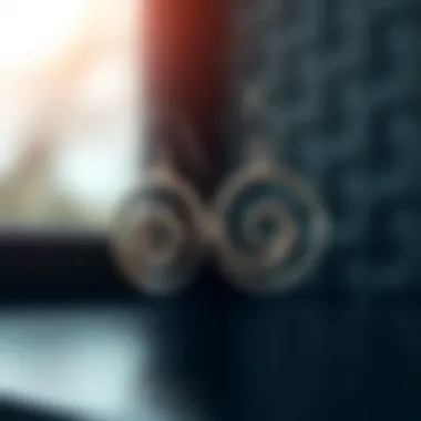 Elegant titanium spiral earrings displayed with a soft focus