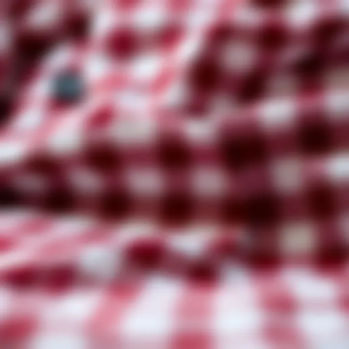 Close-up of gingham fabric showcasing texture and pattern