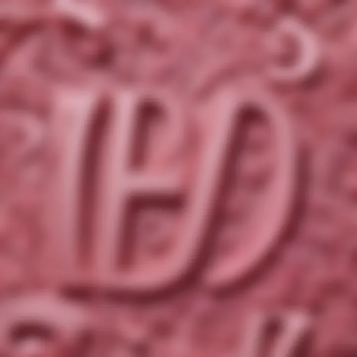 Close-up of pink iron-on letters on fabric