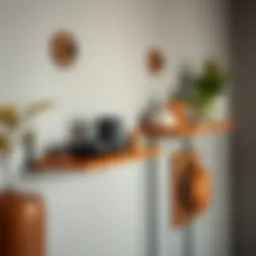 Innovative design of suction cup shelves showcasing versatility