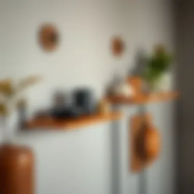 Innovative design of suction cup shelves showcasing versatility