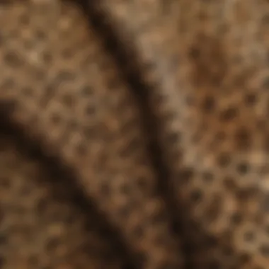 Close-up of leopard print fabric showcasing its texture