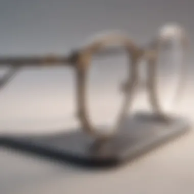 Close-up of a personalized eyeglass holder with unique detailing