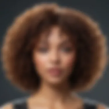 Natural Appearance of Kinky Curly Hair Wigs Close-up of a high-quality curly hair wig demonstrating its natural look and detailing.