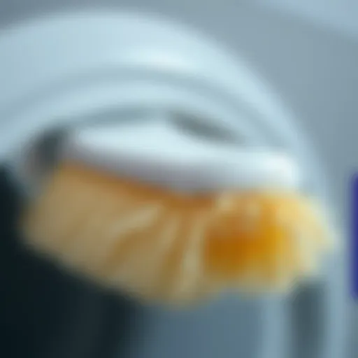 A close-up of a lint trap cleaner brush showcasing its bristles