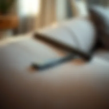 Cleaning Upholstery with a Rubber Squeegee A rubber squeegee gliding over a couch to collect pet hair