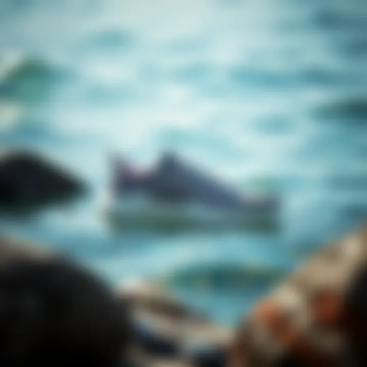 Footwear designed for aquatic environments displayed against a natural water background