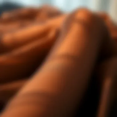 Luxurious Sheer Leggings Fabric Close-up of luxurious fabric of sheer leggings