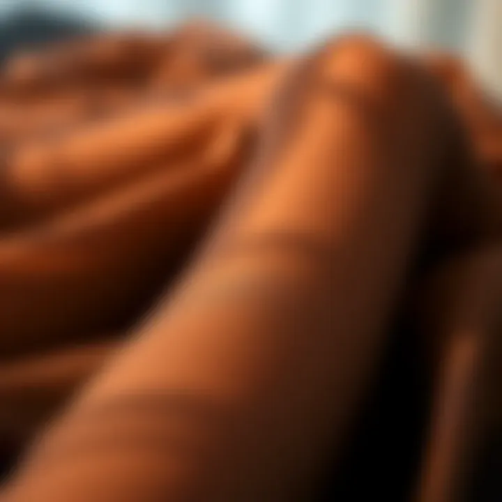 Luxurious Sheer Leggings Fabric Close-up of luxurious fabric of sheer leggings