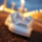 The Allure of Silver Sparkly Tennis Shoes Introduction