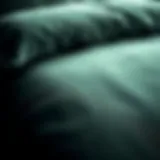 Close-up of velvet texture showcasing its rich depth