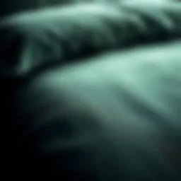 Close-up of velvet texture showcasing its rich depth