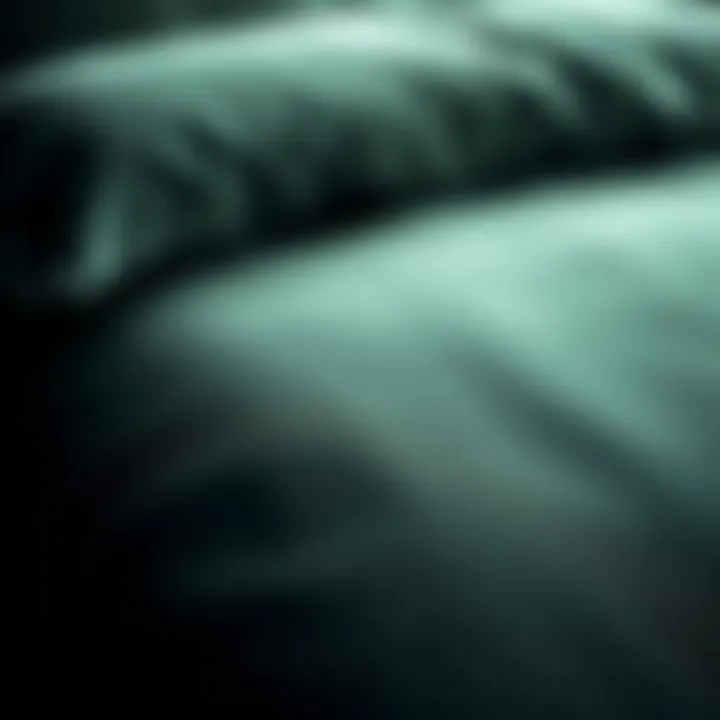 Close-up of velvet texture showcasing its rich depth