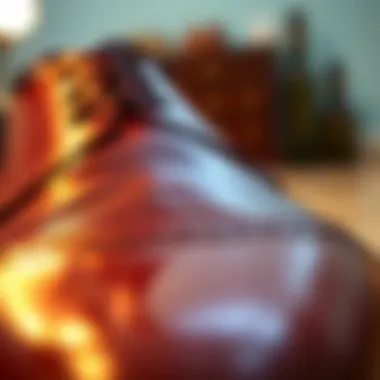 Shining Polished Leather Shoes Close-up of polished leather shoes shining