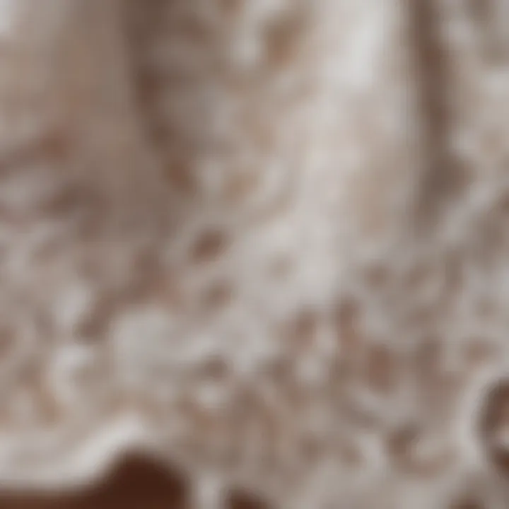 Close-up of fabric texture showcasing luxurious lace detailing