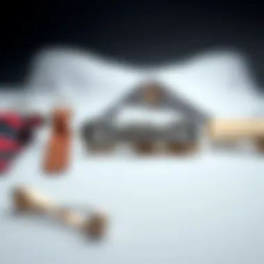 Variety of tie clips made from different materials