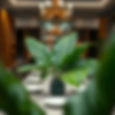 Stylish Dining Table Arrangement with Banana Leaves Stylish arrangement of artificial banana leaves on a dining table