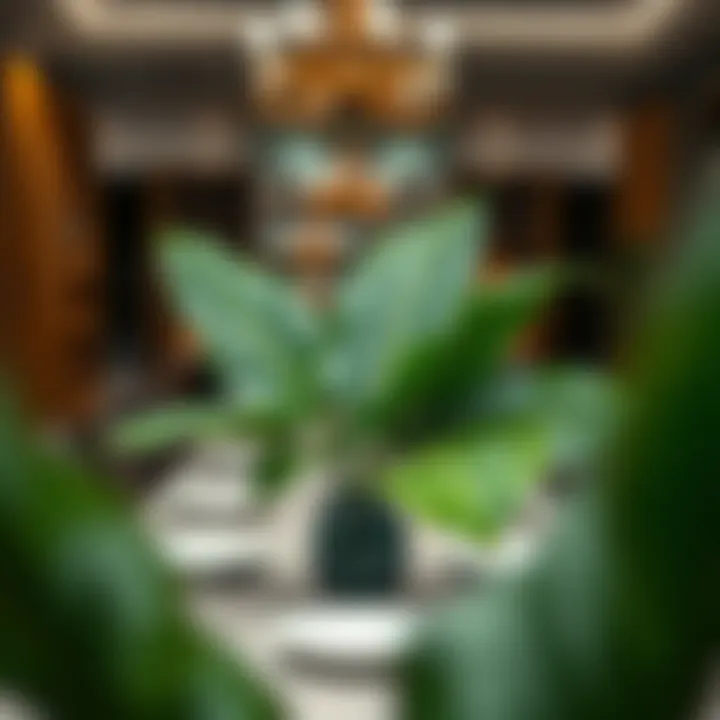 Stylish Dining Table Arrangement with Banana Leaves Stylish arrangement of artificial banana leaves on a dining table