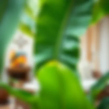 Creative Outdoor Decoration with Artificial Banana Leaves Artificial banana leaves used in a creative outdoor decoration