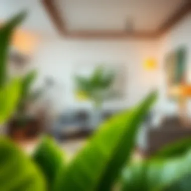 Transforming Spaces with Artificial Banana Leaves Vibrant artificial banana leaves in a modern living room setting