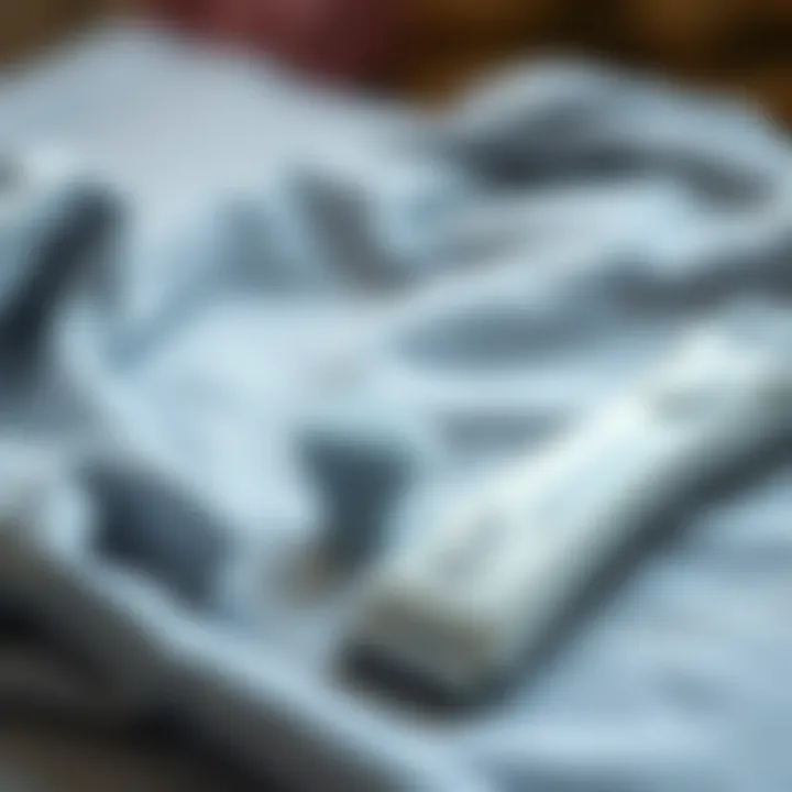 Notable Understanding Fabric Shavers and Lint Removers: A Comprehensive Guide