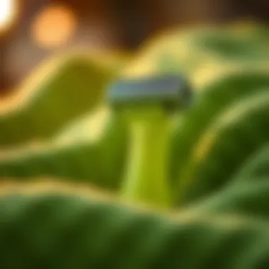 Understanding Fabric Shavers and Lint Removers: A Comprehensive Guide Summary Understanding Fabric Shavers and Lint Removers: A Comprehensive Guide Summary