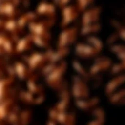 Close-up of vibrant yaki curly hair texture showcasing its unique curls and waves.